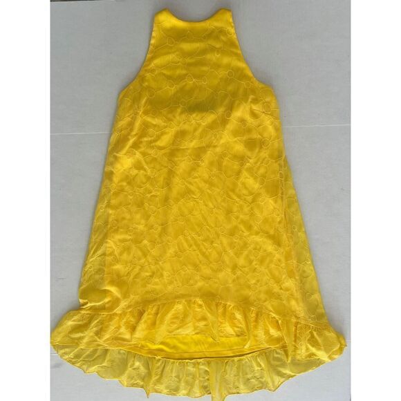 Lauren Ralph Lauren Womens Sz 4P Lemon Rind Eyelet Sleeveless Shift Dress $135 - Picture 4 of 11